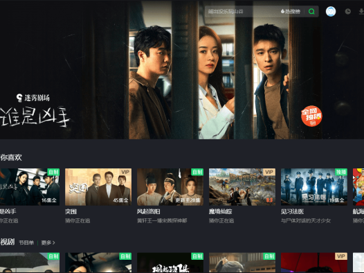 PC爱奇艺绿色版