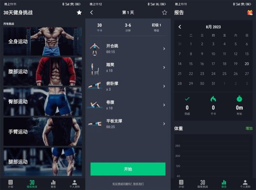 安卓30天健身挑战绿化版